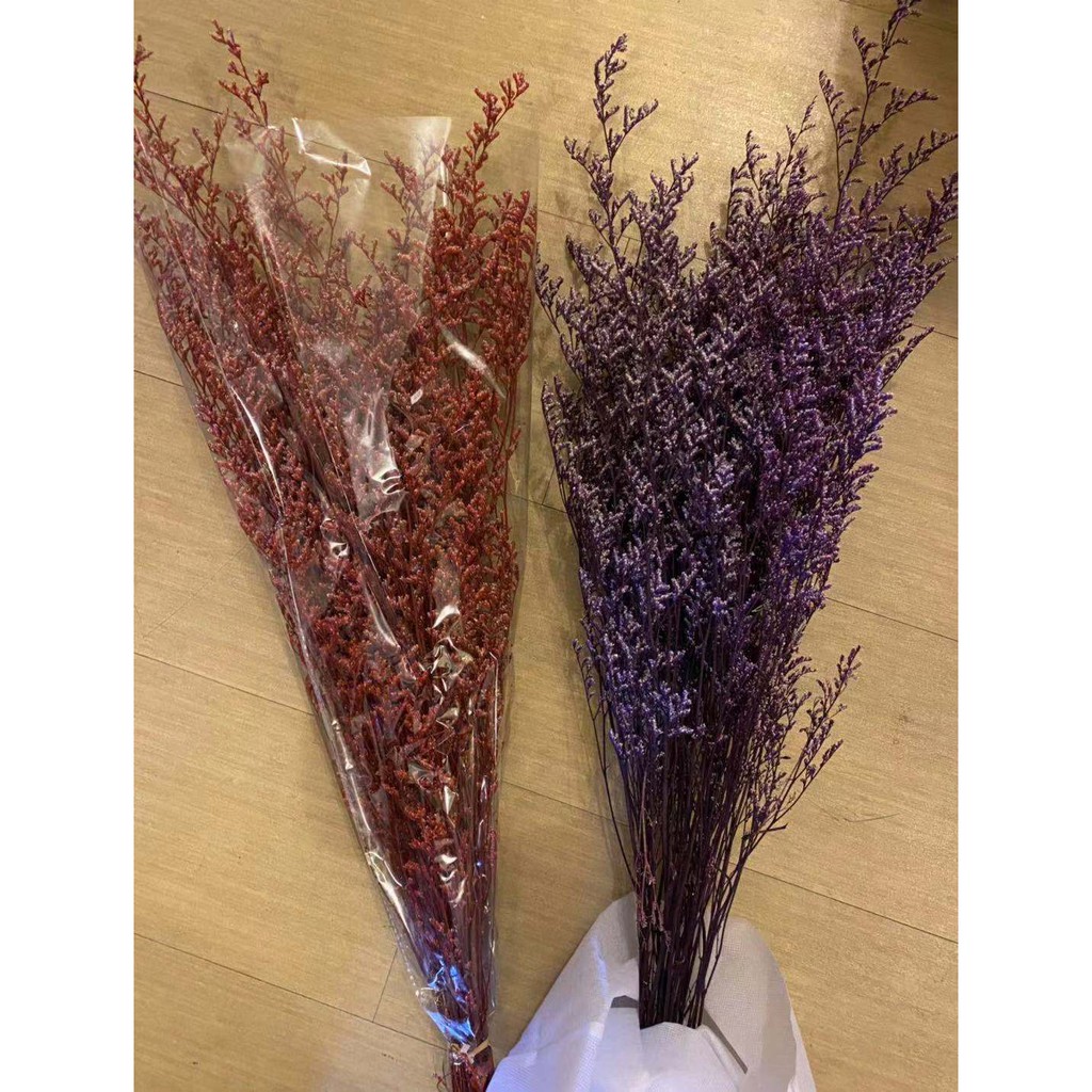 Dried Flower Misty Red and Purple Shopee Philippines