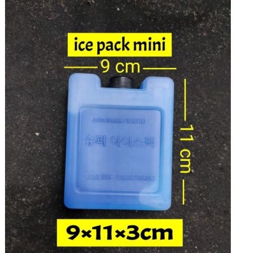 Ice gel Deluxe ice pack MINI Small dry ice air cooler Shopee Philippines