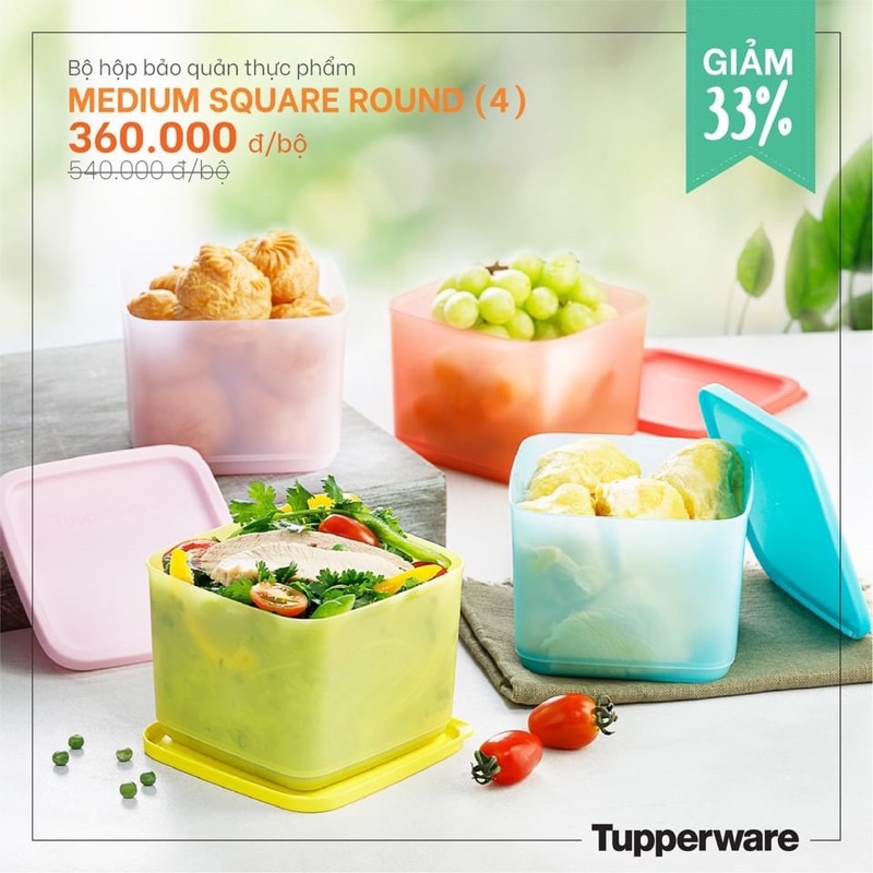 Medium Square Round 1L Tupperware BQTP box set | Shopee Philippines