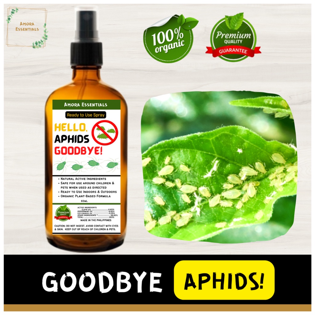 AMORA Essentials APHIDS Killer Spray Aphids, aphids control, aphids