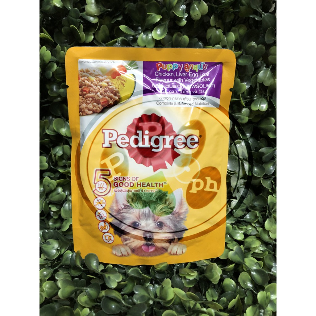 Pedigree Wet Dog Food Pouch 80g Shopee Philippines
