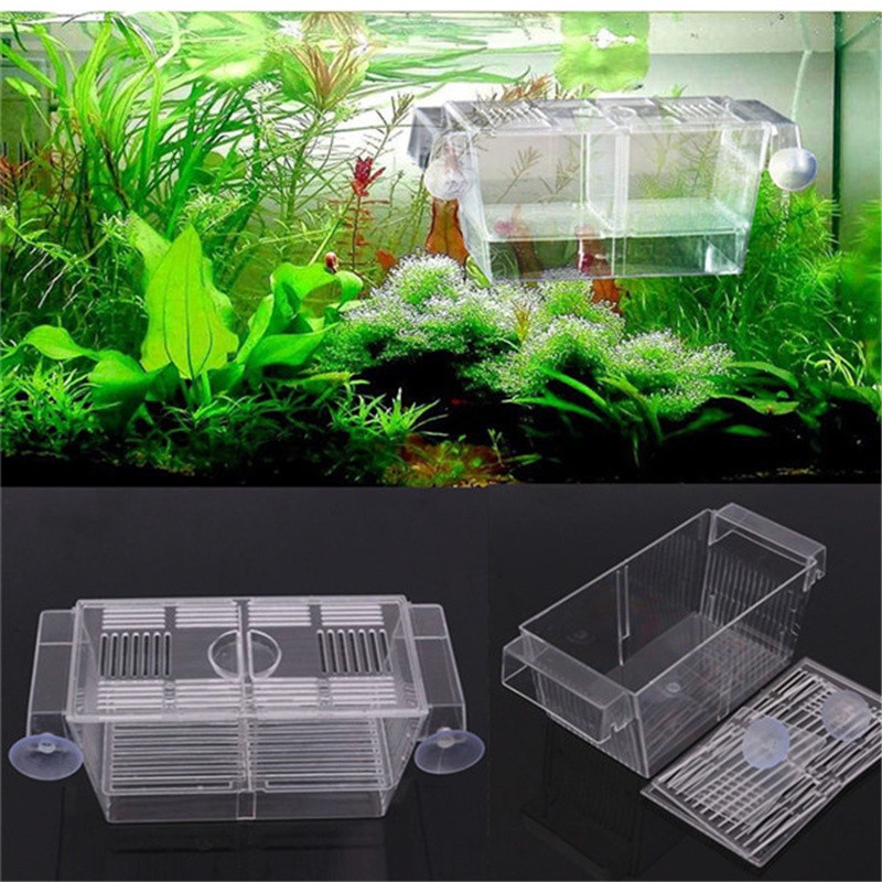 ＞Fry breeding box guppies fish hatching box fish tank isolation box ...