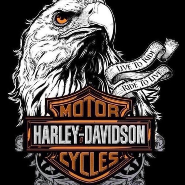 Harley Davidson Denim Vest (Unisex, Size: S - M) | Shopee Philippines