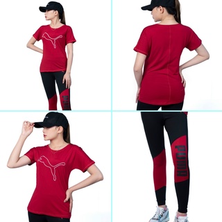 Fitness Padded Sport Top Tight Fitting Sports Yoga Pants Leggings Short  Sleeve Sports T-shirt For Women Quick Dry Sport Wear Set For Women