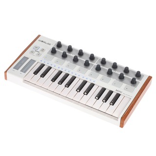 Worlde Panda mini Portable Mini 25-Key USB Keyboard and Drum Pad