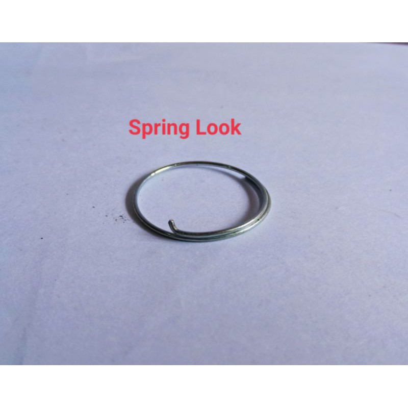 Bicycle Hub Spring Look Freehub Spring Clamp Pawl Hub Spring Lock ...