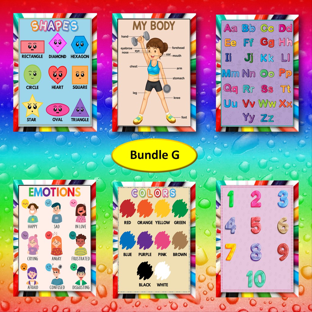 Wall chart educational poster bundle of 6pcs laminated a4 size ...