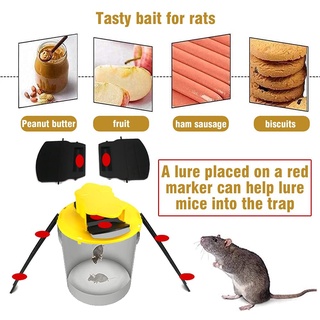 Shop mouse trap for big rats for Sale on Shopee Philippines