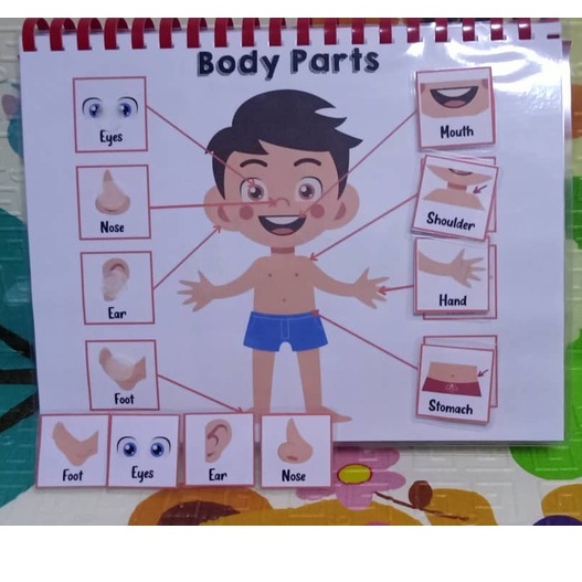 Parts of the Body Busy Book Laminated Interactive Activity | Shopee ...