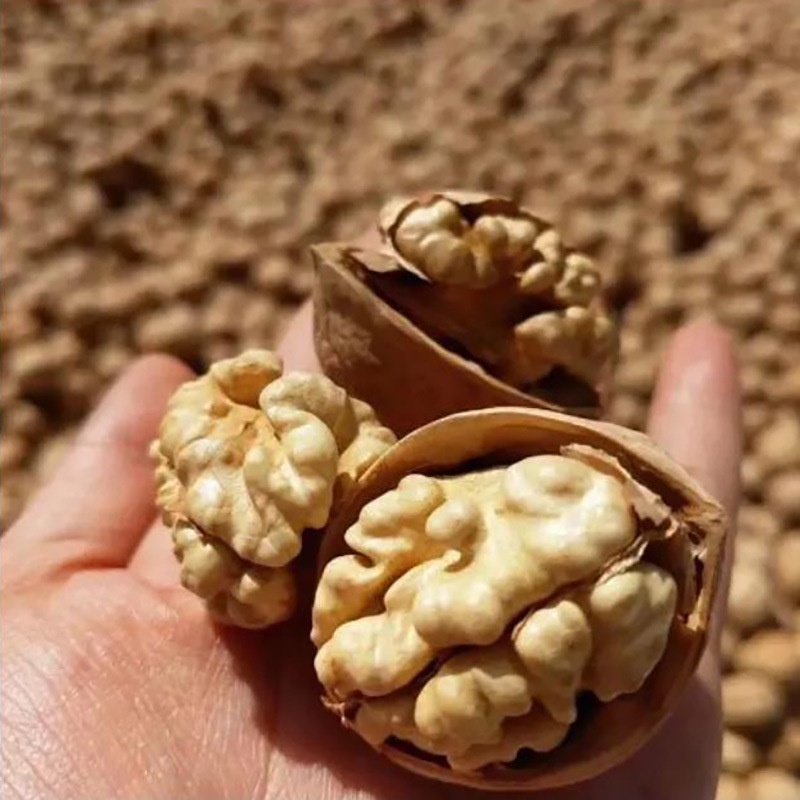 2022 new goods as thin as paper walnut affordable bulk original Aksu