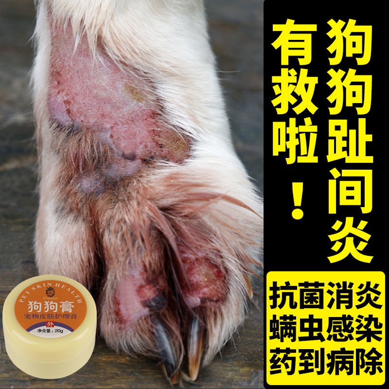 Dog Skin Disease Ointment Killing Mites AntiItching Fungus Eczema Cat