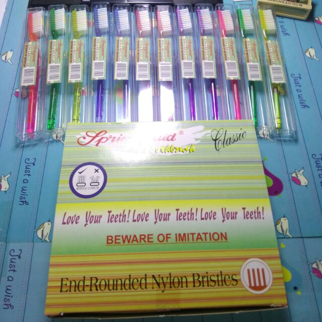 springmaid toothbrush 8154 12pcs. 1box | Shopee Philippines