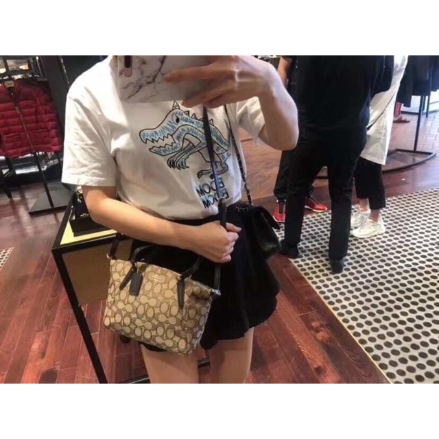 Coach small sale kelsey bag