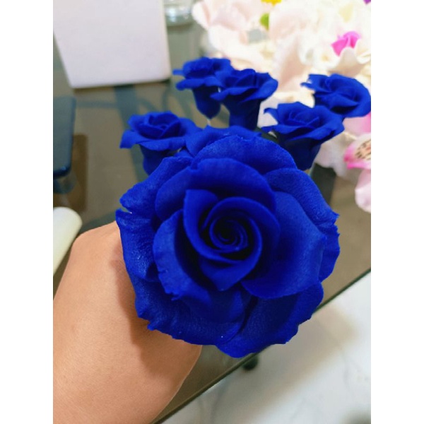 royal blue hybrid tea rose gumpaste edible flower | Shopee Philippines