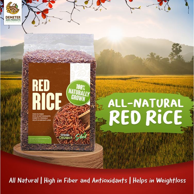Healthy Natural Red Rice 1KG by Demeter Agriproducts Surigao del Sur ...