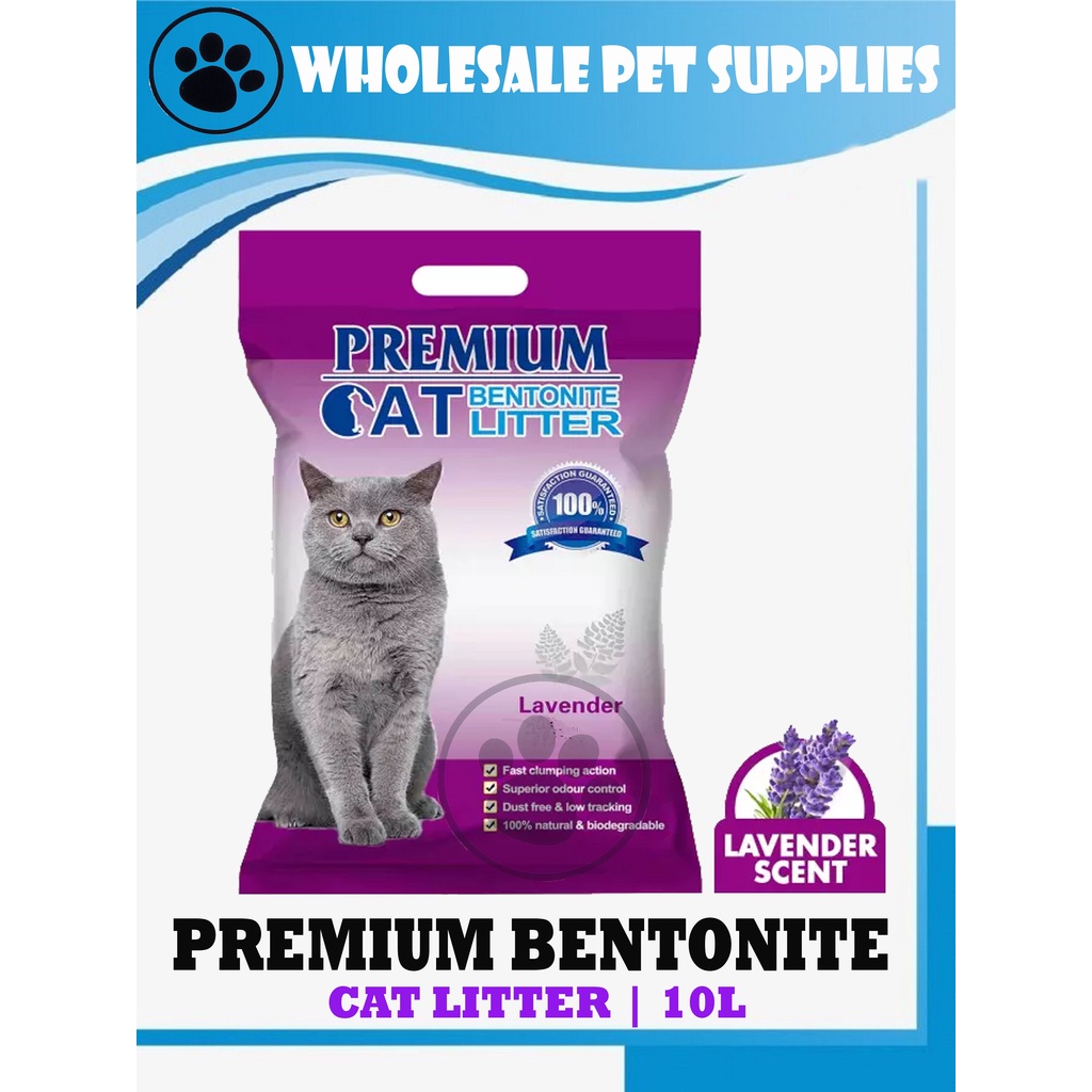 Bentonite cat hotsell