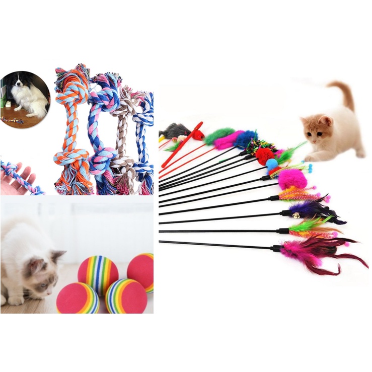Pet Toy for Cat & Dog ( Chewing Interactive ball, Cotton Braided Bone