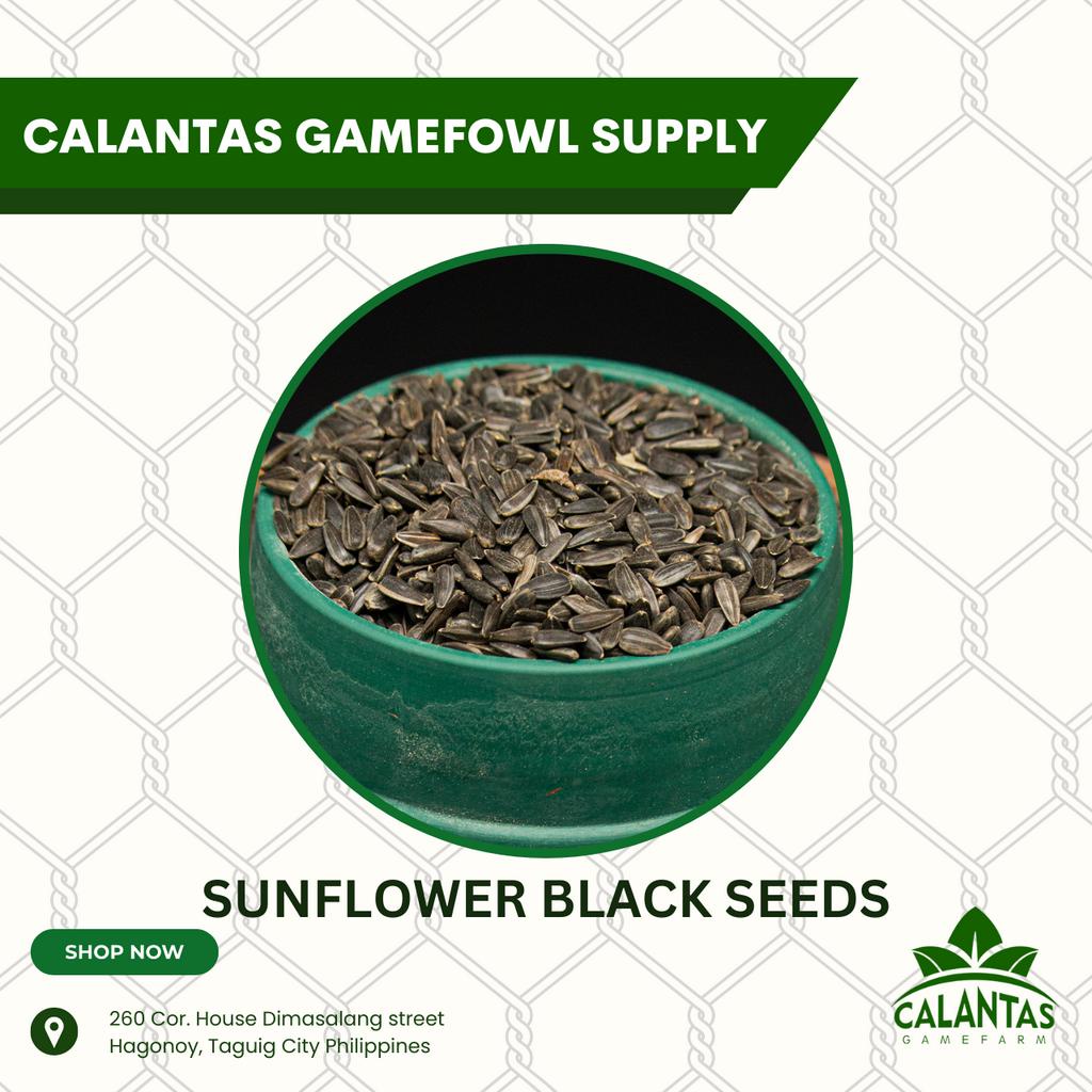 SUNFLOWER BLACK SEEDS (REPACKED) / 1/2KG 1KG 25KG | Shopee Philippines