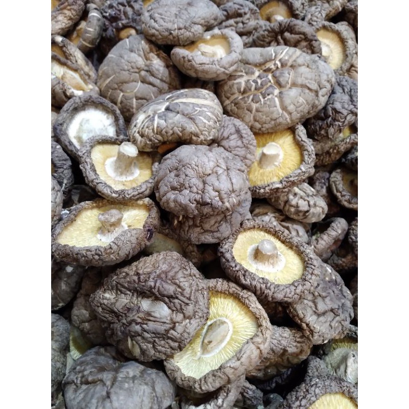 Grade A Dried Shiitake Mushrooms (Weight 200 Grams 500 Grams) Shopee