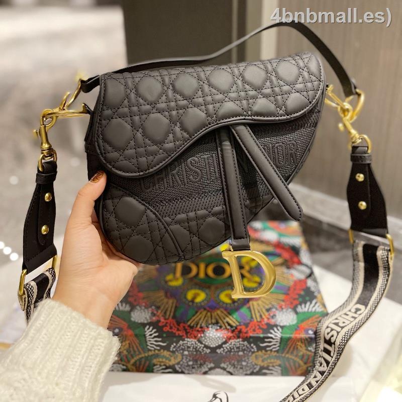 Dior discount saddle sale