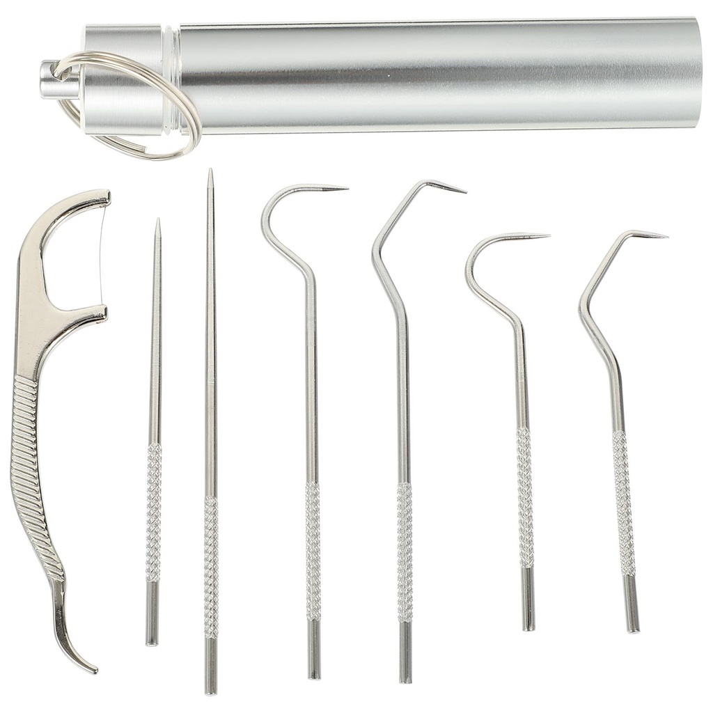 Toothpick Metal Dental Toothpicks Reusable Kit Set Stainless Steel Pick