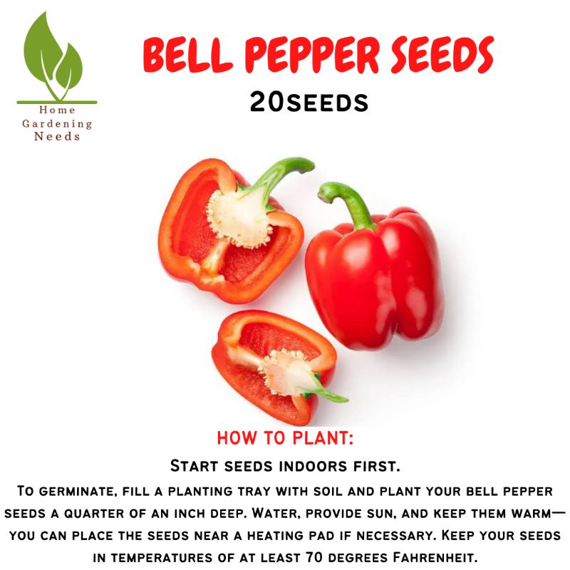 BELL PEPPER SEEDS/F1 HYBRID (20pcs) Shopee Philippines