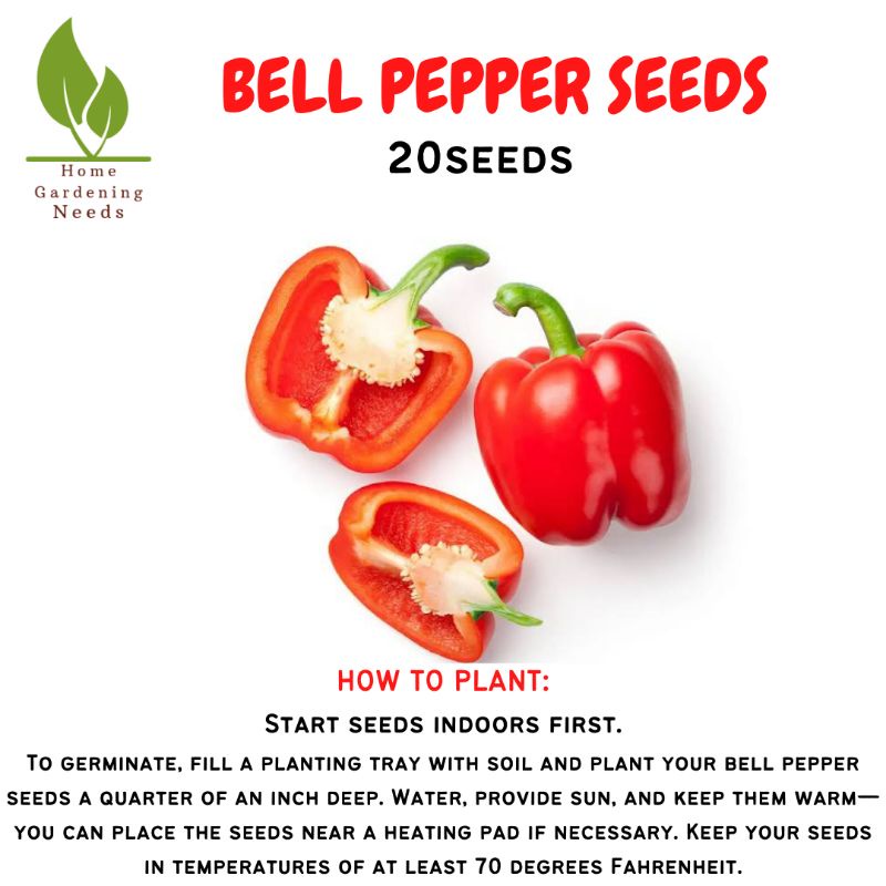 Bell Pepper Seedsf1 Hybrid 20pcs Shopee Philippines