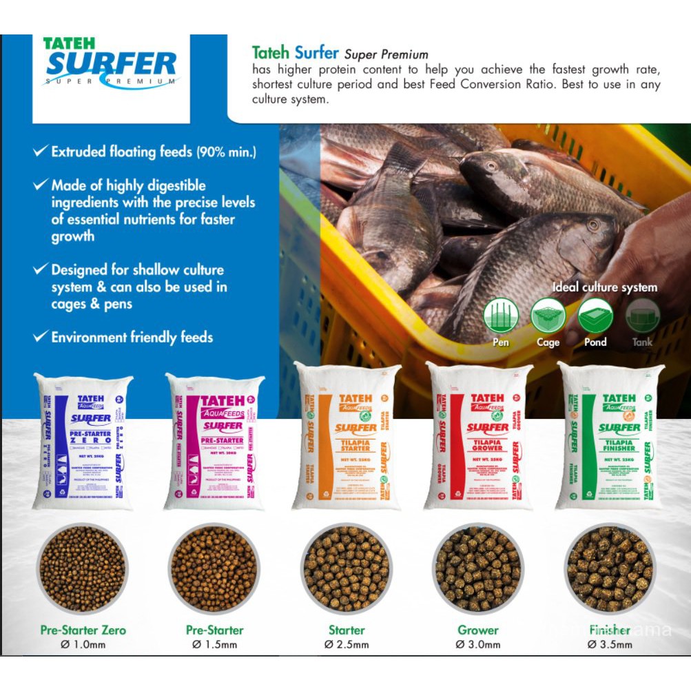 Tateh Aquafeeds Surfer Starter Tilapia Catfish Milkfish Koi Feeds