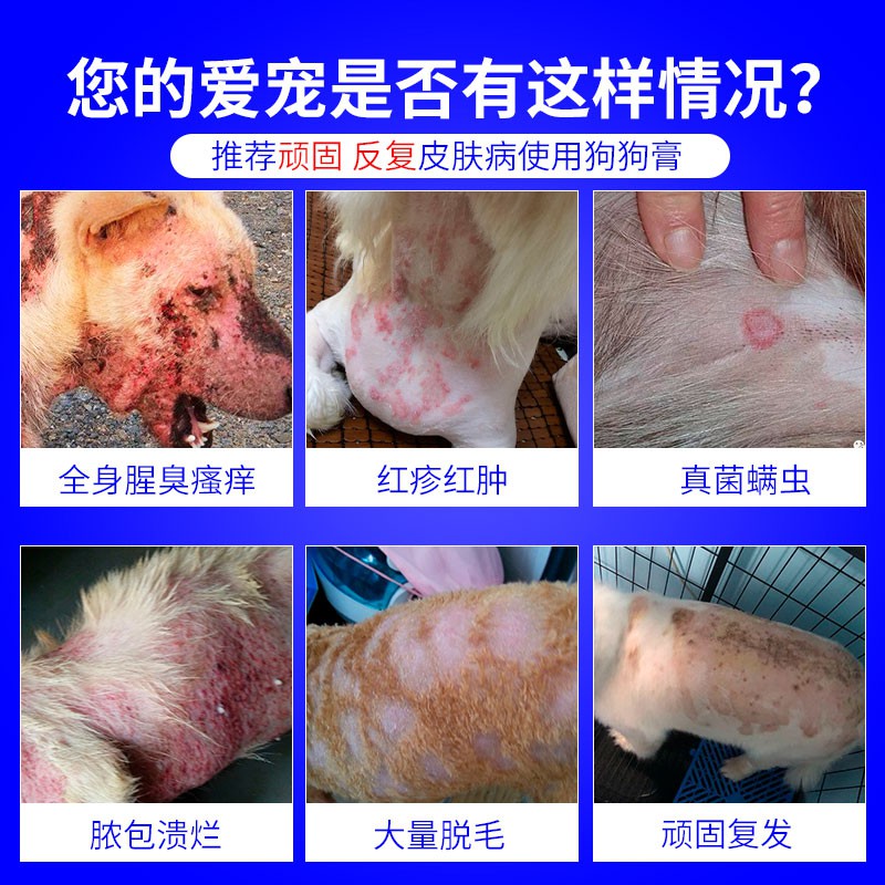 dog-skin-disease-ointment-topical-ointment-eczema-dermatitis-itching