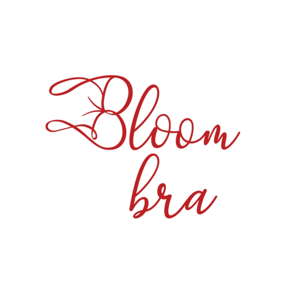 BLOOM BRA DOUBLE PUSH SILICONE ADHESIVE BRA