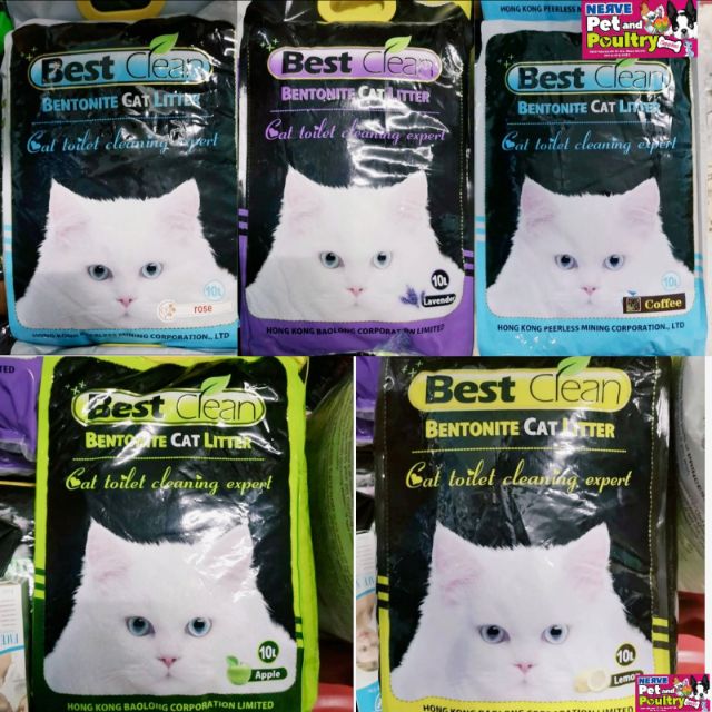 Best clean cat litter best sale