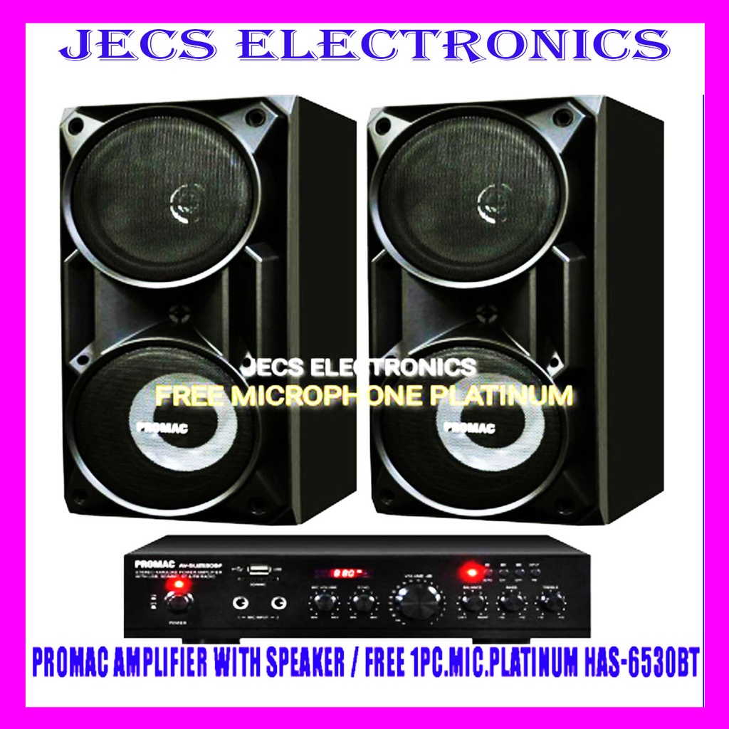 Platinum speaker hot sale and amplifier