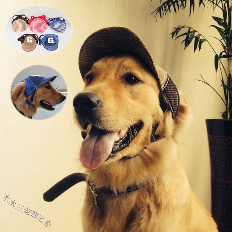 Golden retriever shop baseball caps