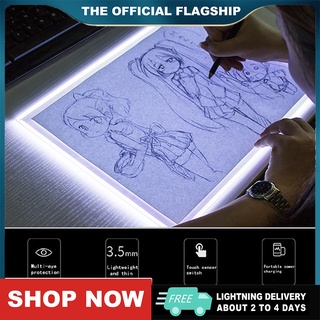 Cartoon Drawing Light Box Magic Tracing Light Pad - China LED Light Box,  Copy Pad