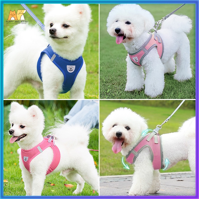 Shitzu Dog Accessories ?Adjustable Pet Leash Dog Harness Leash Mesh
