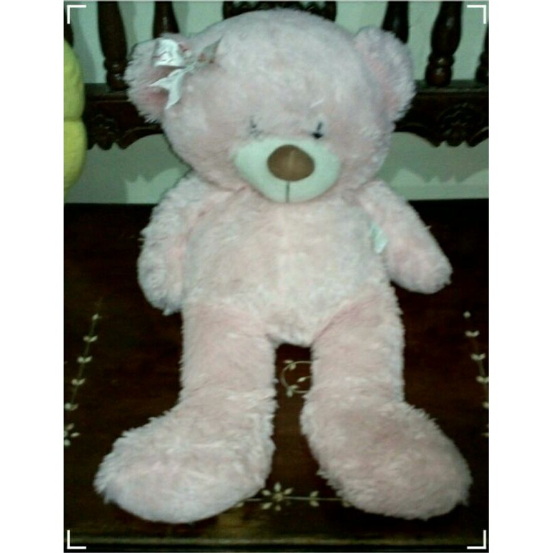 Toy kingdom teddy bear on sale price