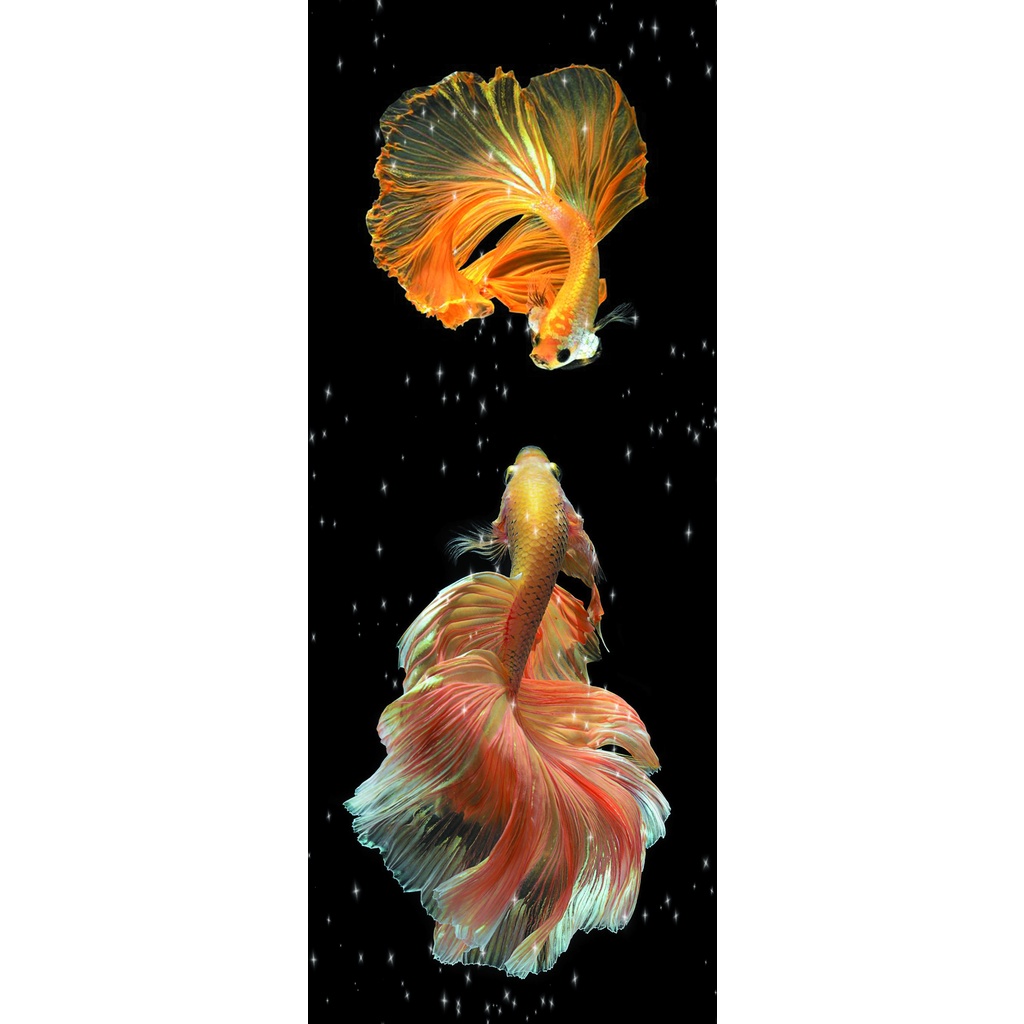 Koi Fish Refrigerator Stickers Large Size Silk Laminated Stickers Super Glue Shopee