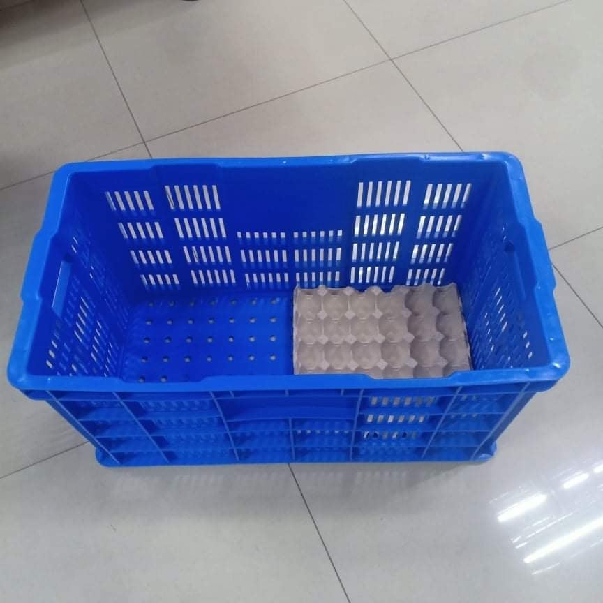 Egg Crates Heavy Duty (Capacity 10 egg trays/300eggs) RANDOM COLOR