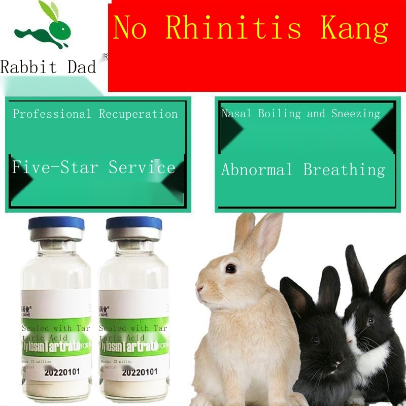 Rabbit rhinitis Kang net with medicine pneumonia needle sneezing runny ...
