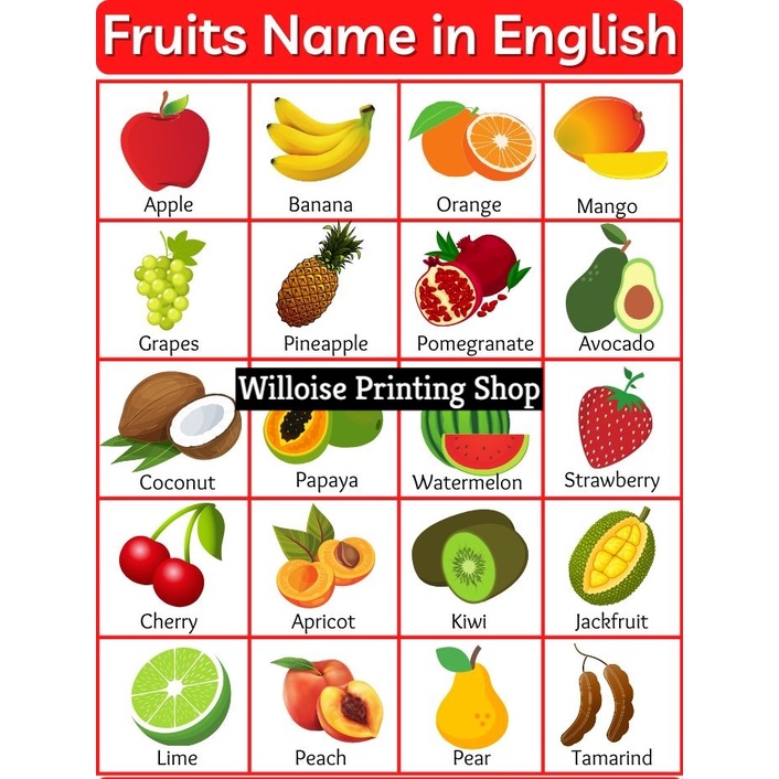 Fruits - Educational Laminated Chart - A4 Size | Shopee Philippines