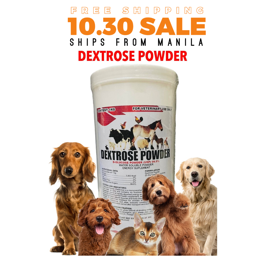 Dextrose water for outlet dogs