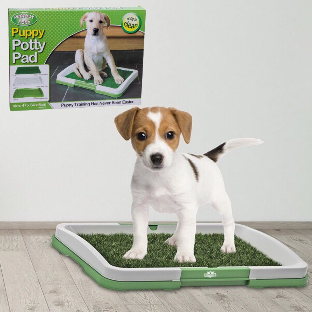 SALE Perfect Pets Puppy Training Potty Pad Pet Indoor Dog Toilet Trainer Shopee Philippines