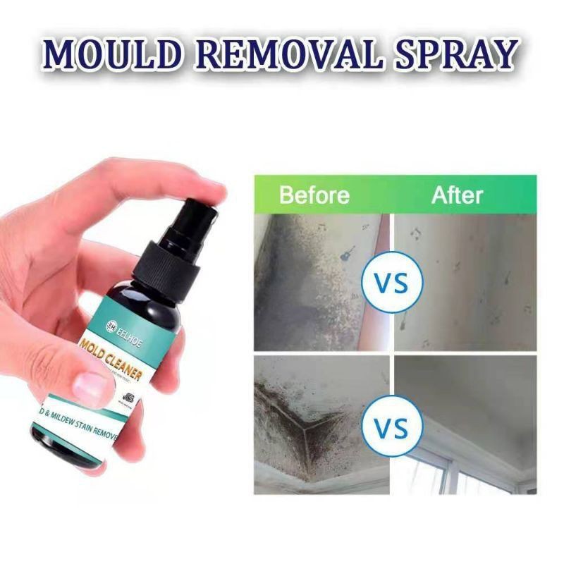 Eelhoe Mold cleaner mold and mildew stain remover (100ml) &) (50ml