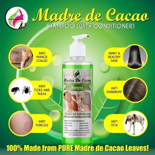 AE PREMIUM Madre de Cacao Shampoo Conditioner Anti Lice and