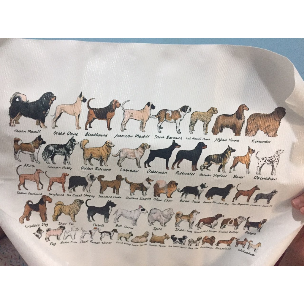 Dogs of the World Popular Breeds Chart Poster Modern Canvas Prints Wall ...