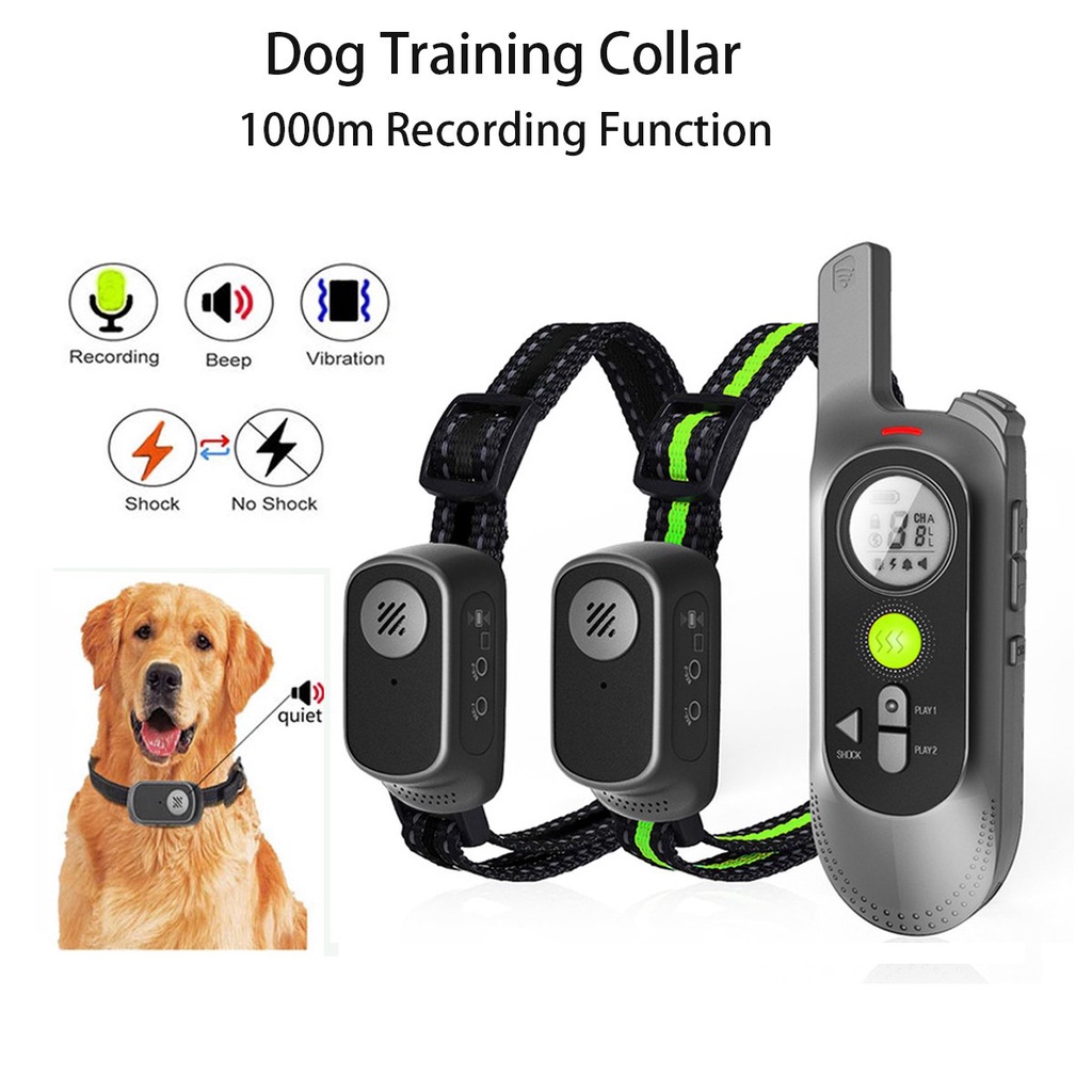 Types of outlet dog training collars