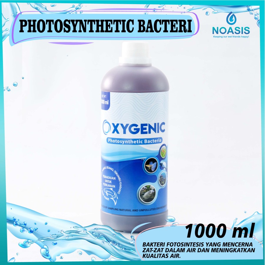 Oxygenic 1liter Probiotic Bacteria STARTER Aquarium Pond AQUASCAPE 1L