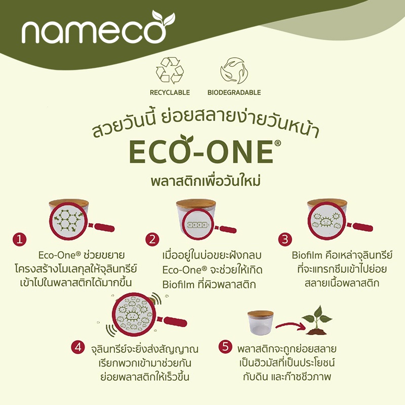 Nameco Model NC213-1 S1 Eco Friendly Natural Straw Mixing Jar + Wooden ...