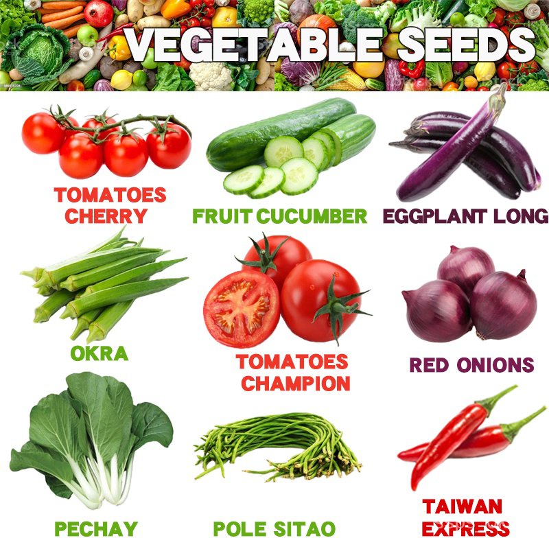 Mixed Seeds Vegetable Seed collection Tomato Athena Eggplant Okra ...