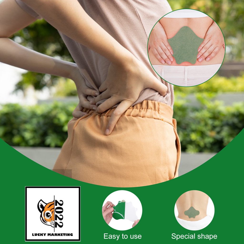 Pain Reliever Plaster Lumbar (Back) Pain Relieving Sticker for Spinal ...